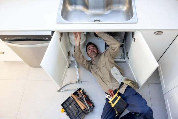 Best Local Plumber Services  in East Grand Rapids, MI